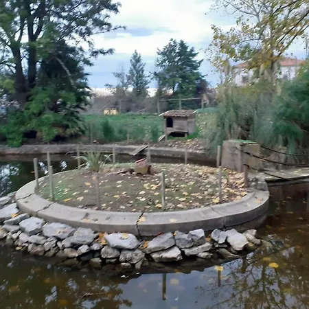 Amazing Farm House Near Vi B *