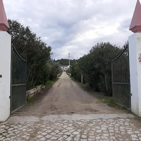 Amazing Farm House Near Vi B Tomar